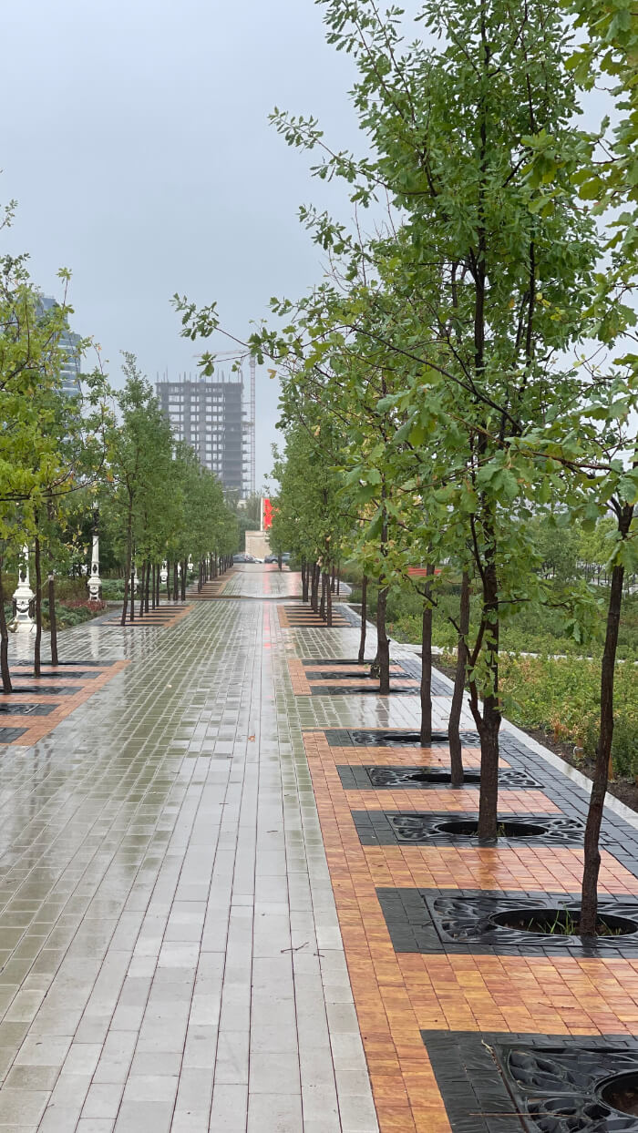 Приствольная решетка для дерева ZKING CRUST 1.2х1.2м Черная в Химках фото