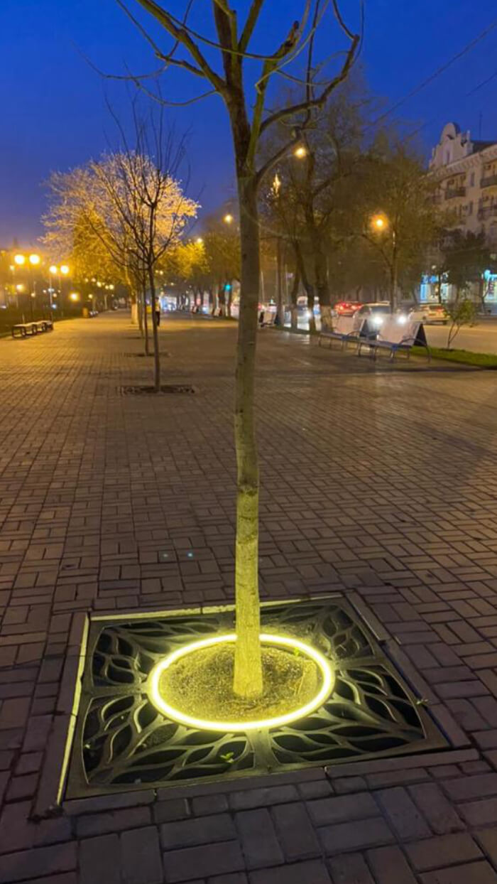 Приствольная решетка для дерева ZKING CRUST 1.2х1.2м Черная в Химках фото